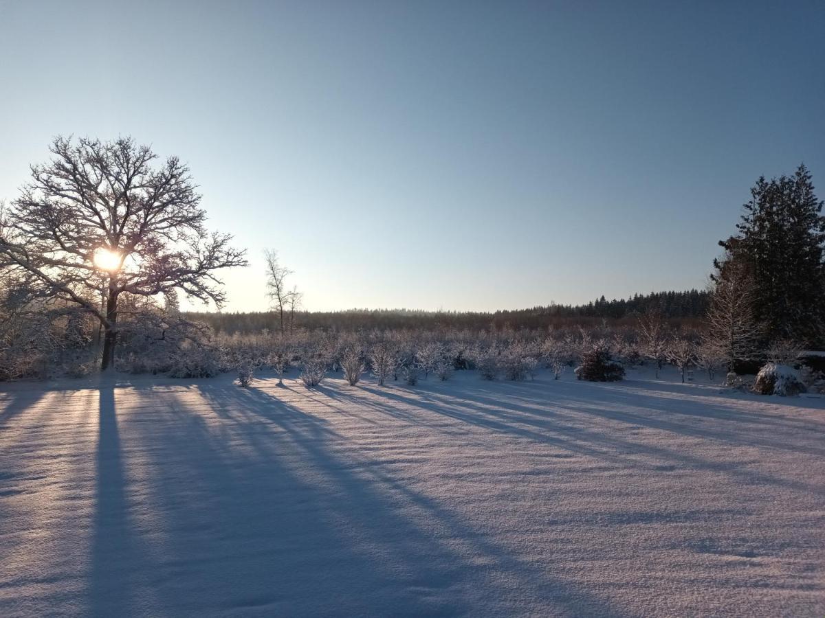 L'Antre Parenthese Villa Grand-Halleux Buitenkant foto